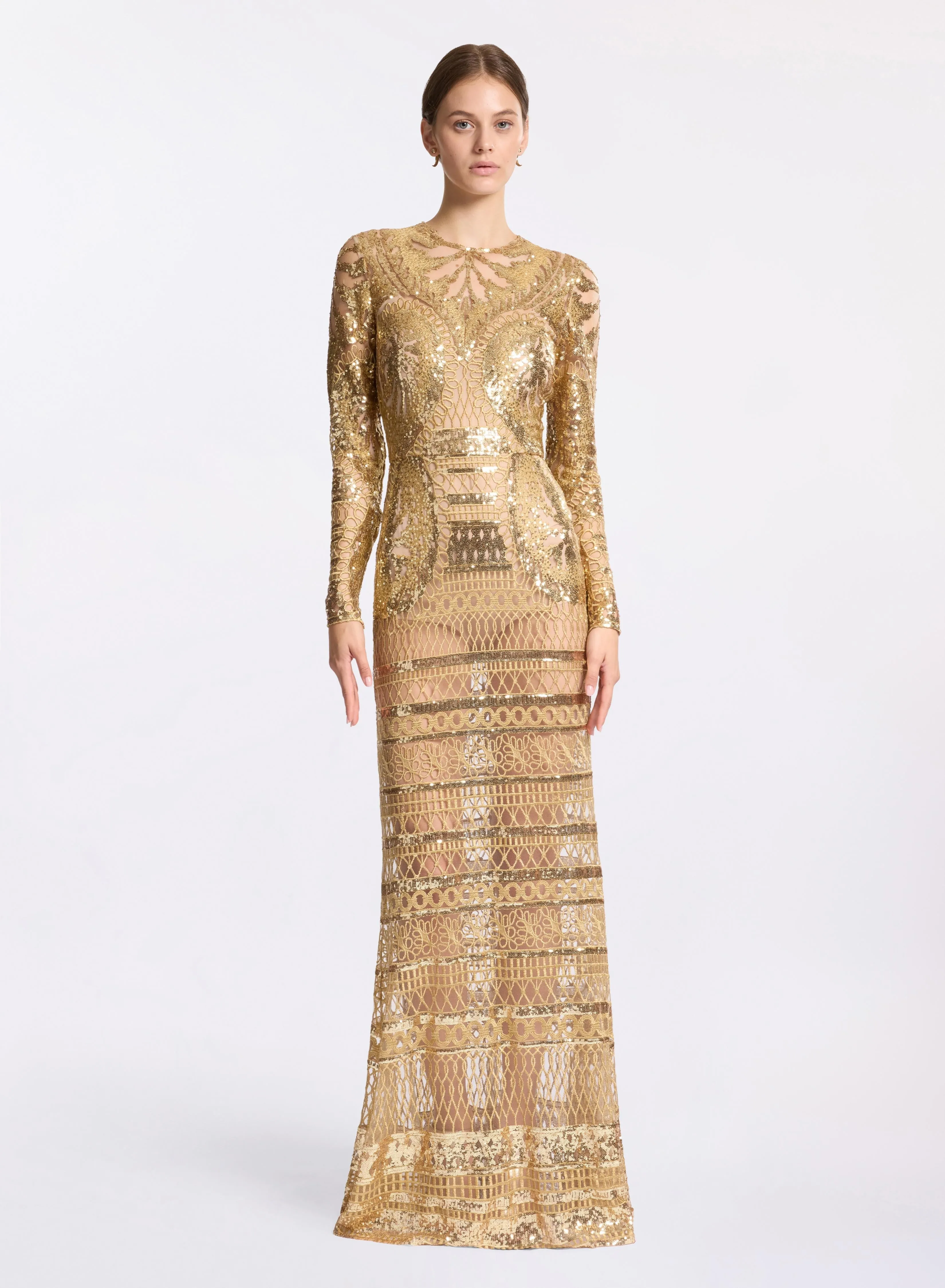 Embroidered Tulle Long Dress sold by Elie Saab