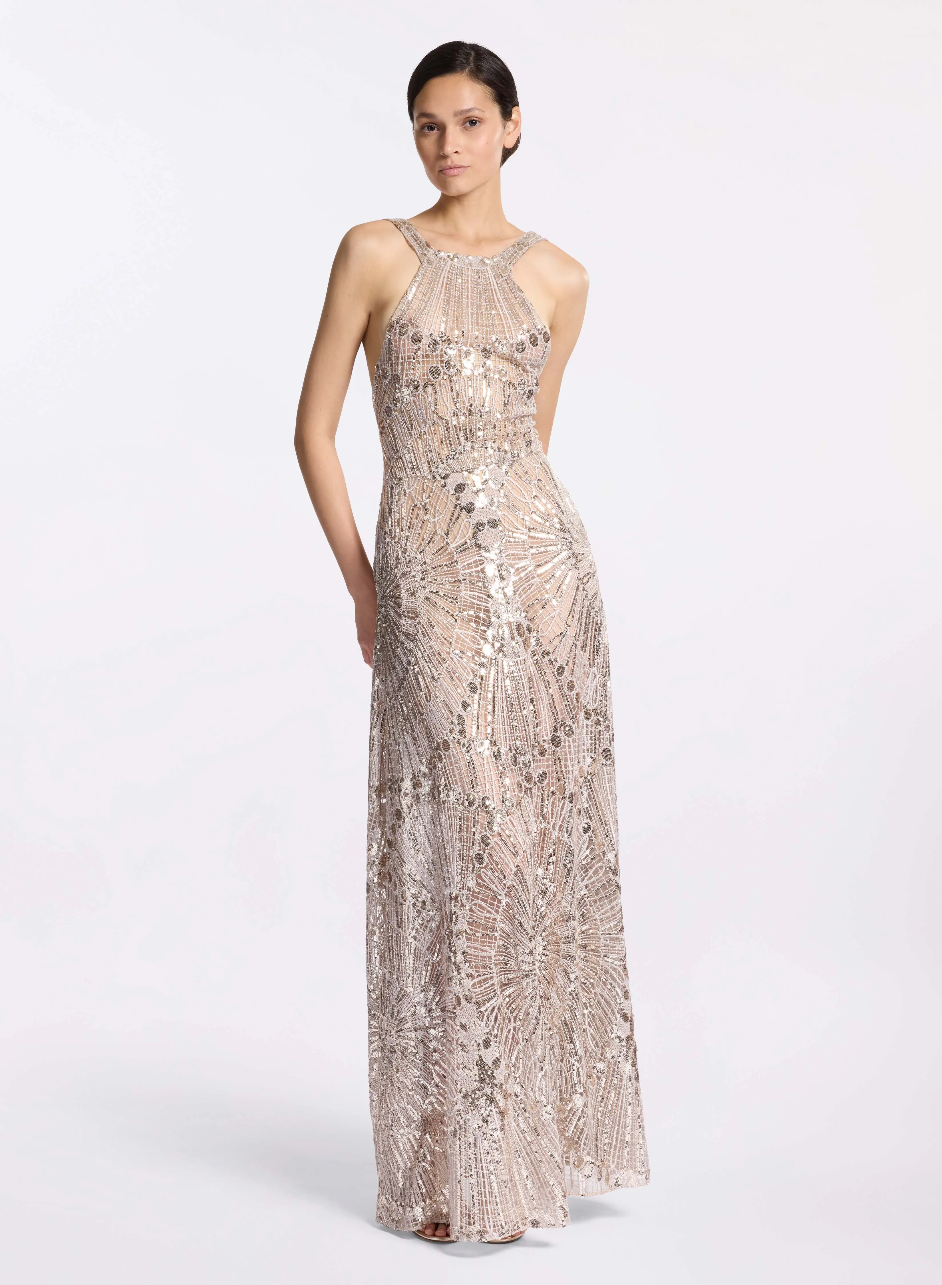Embroidered Tulle Long Dress sold by Elie Saab