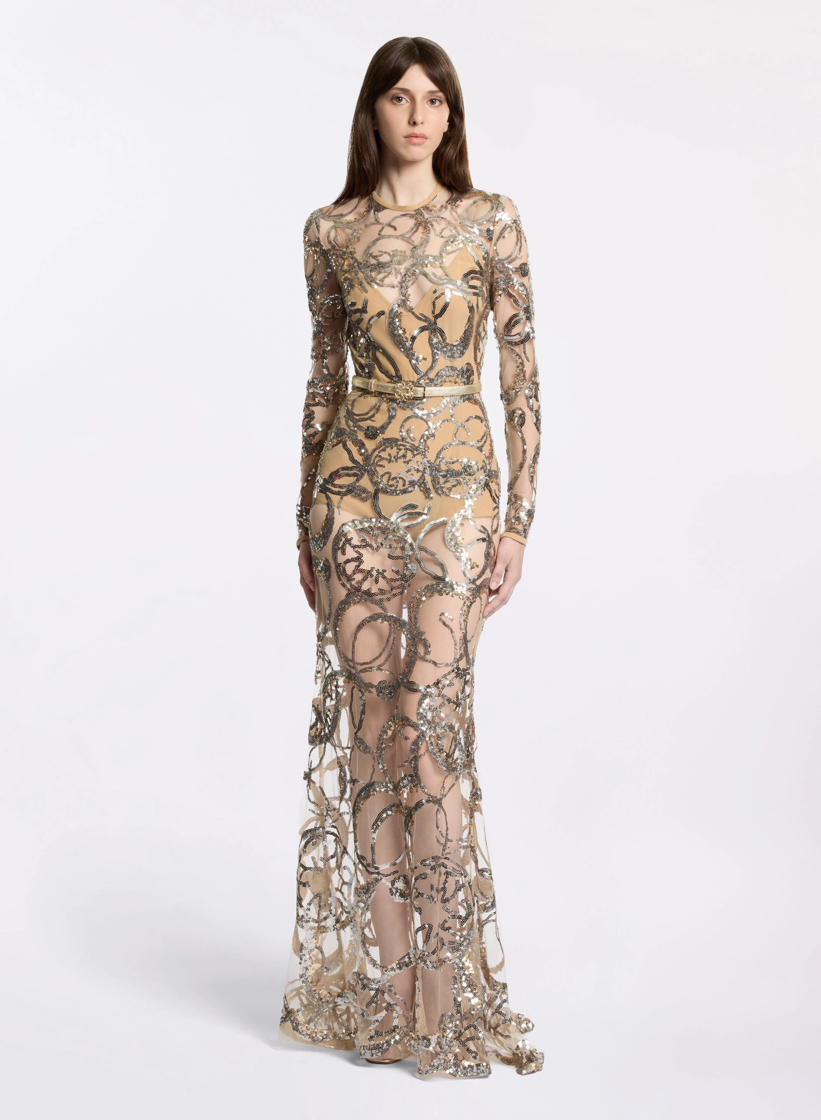 Embroidered Tulle Long Dress sold by Elie Saab