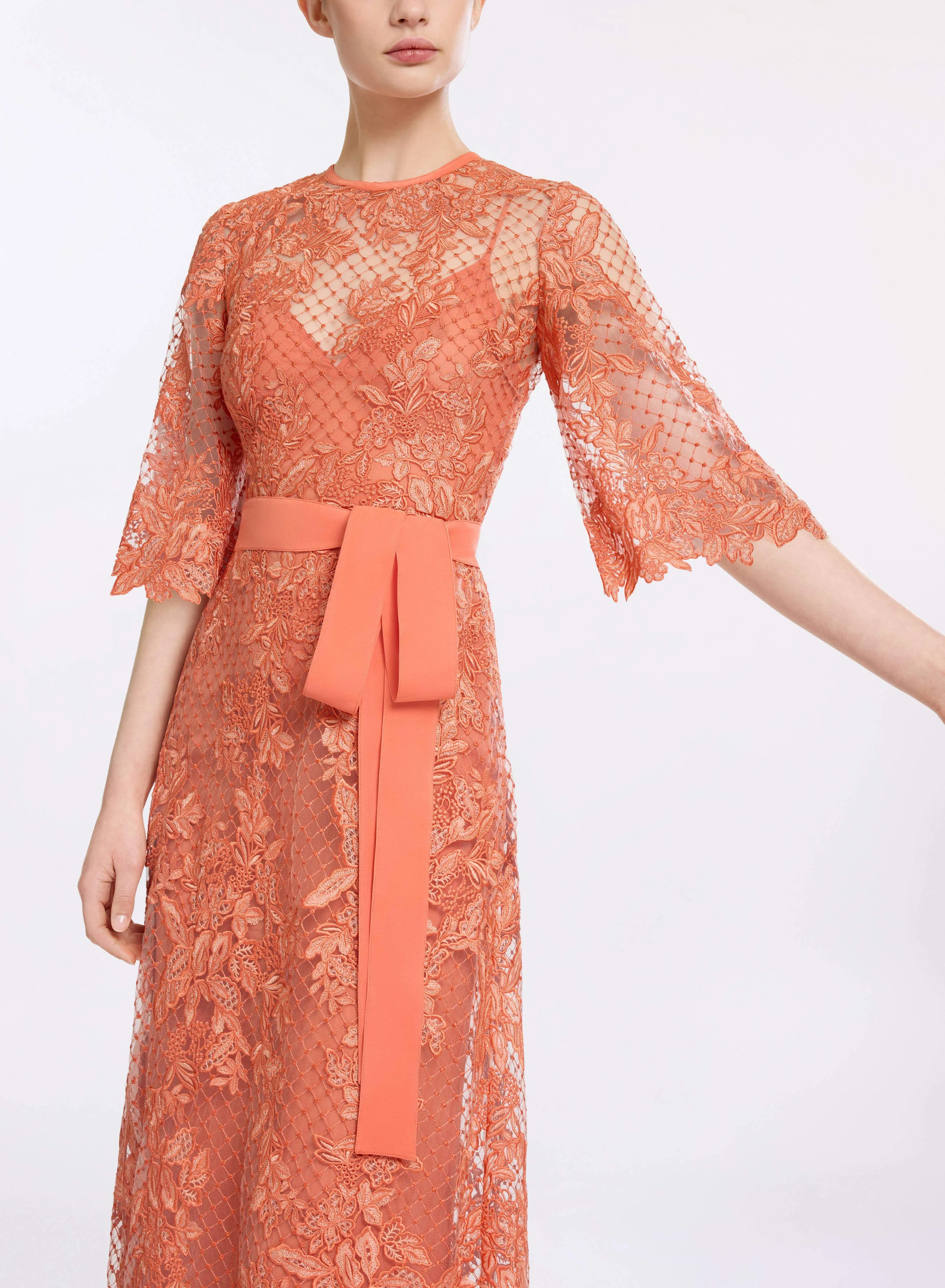 Embroidered Tulle and Lace Dress sold by Elie Saab product image thumbnail 3