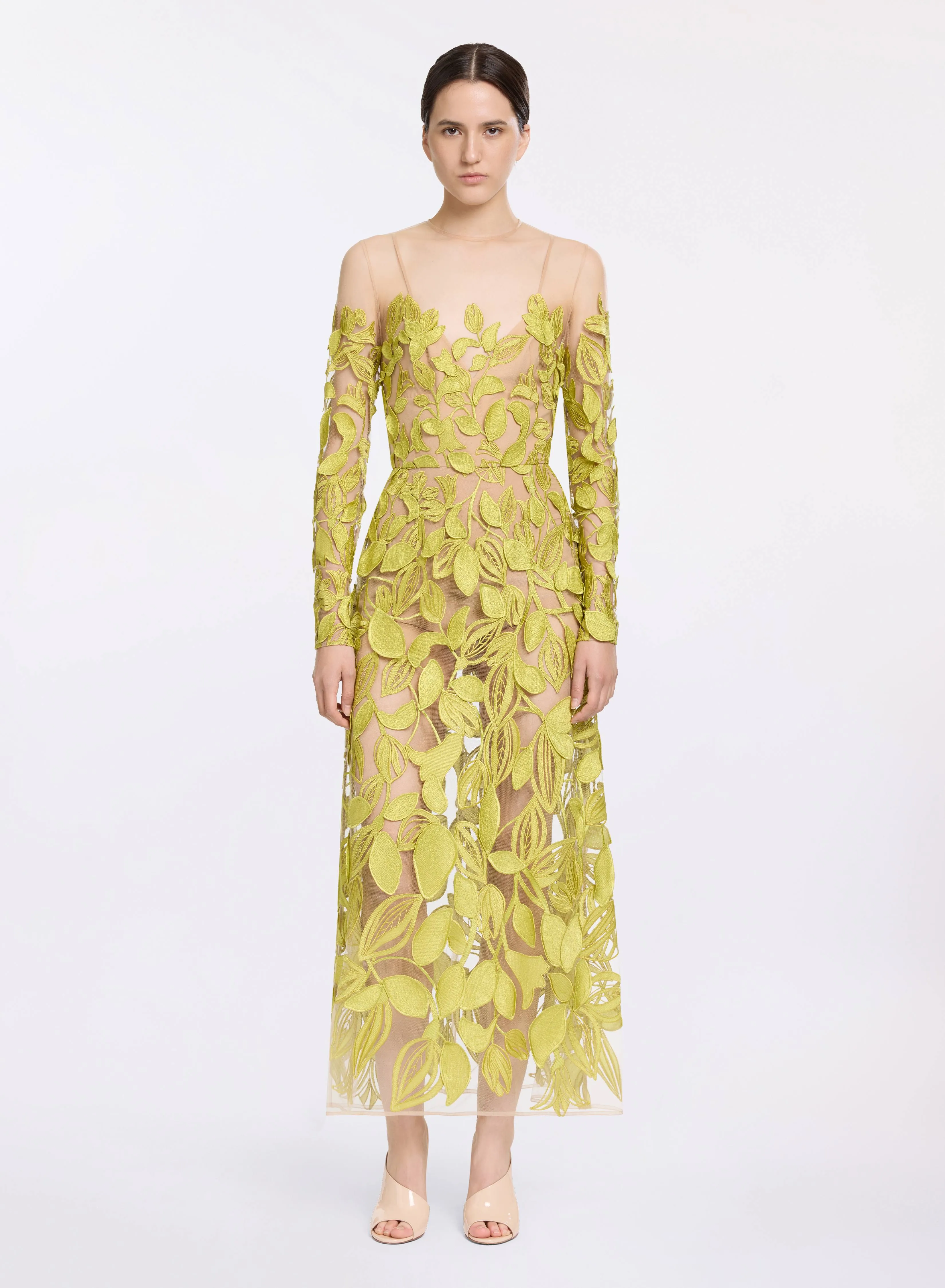 Embroidered Tulle Dress sold by Elie Saab