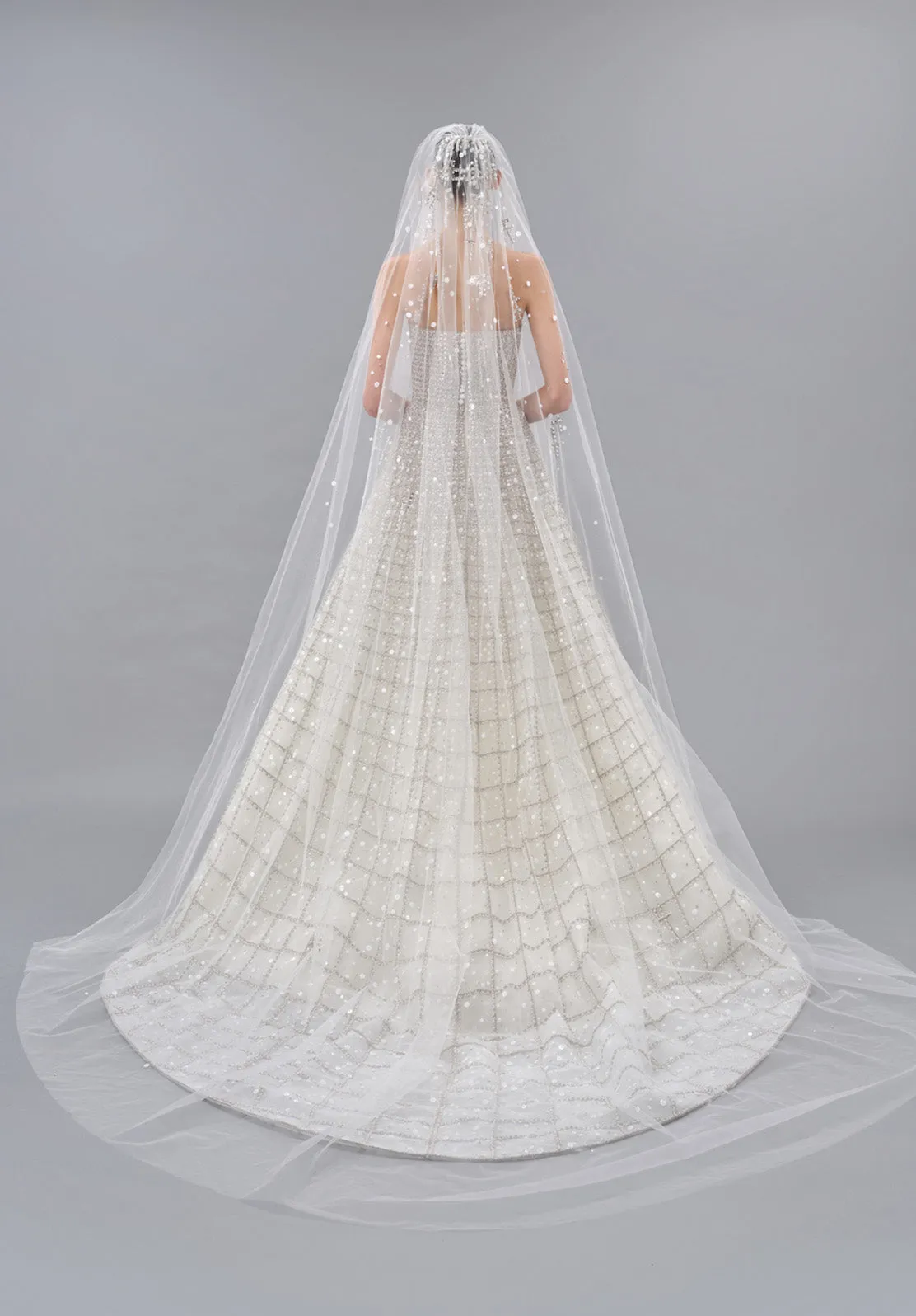 LOOK 10 sold by Elie Saab product image thumbnail 5