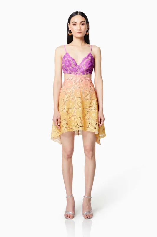 Vice Ombre Lace Mini Dress In Purple sold by Elliatt
