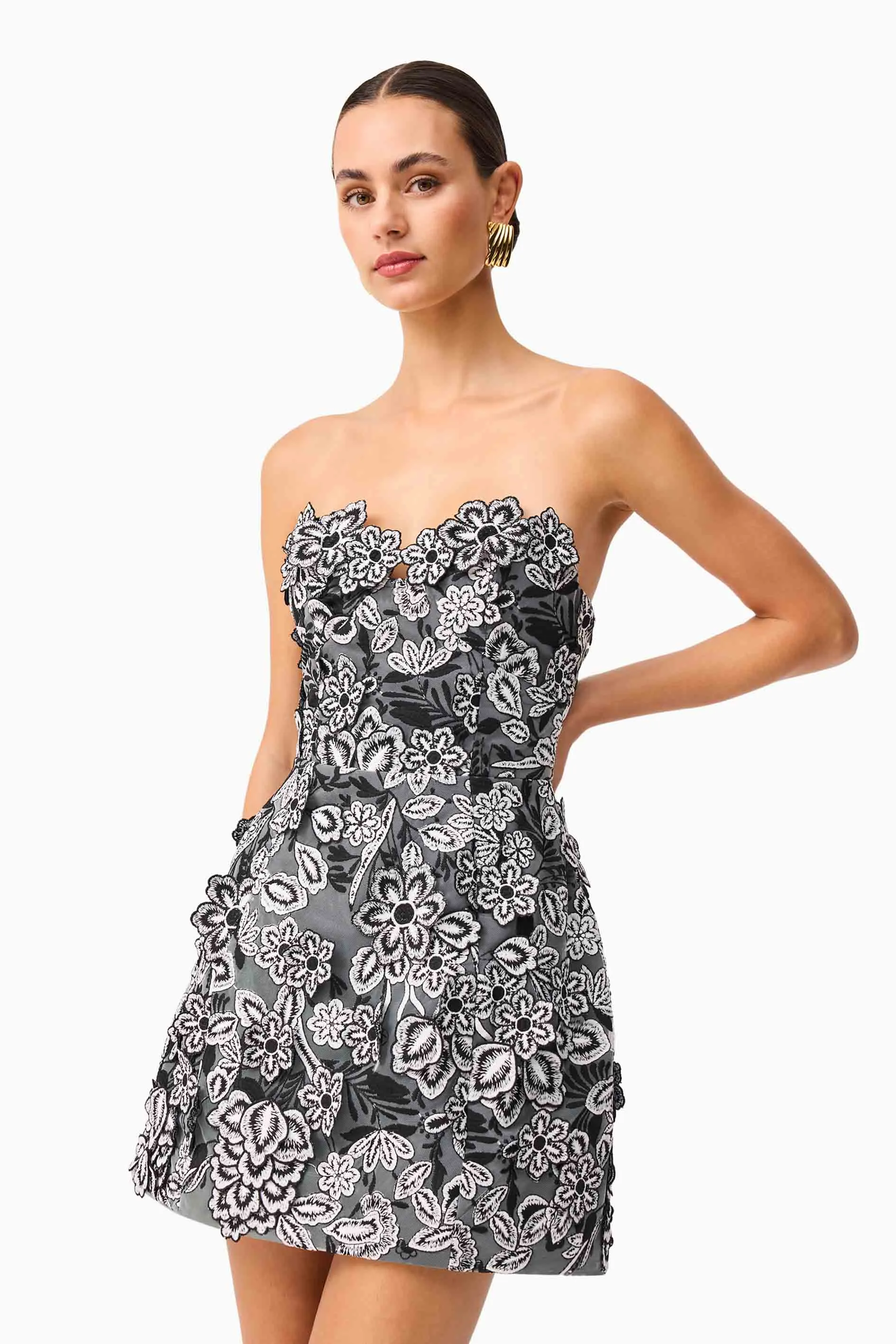 Roseate Floral Mini Dress in Black sold by Elliatt product image thumbnail 2
