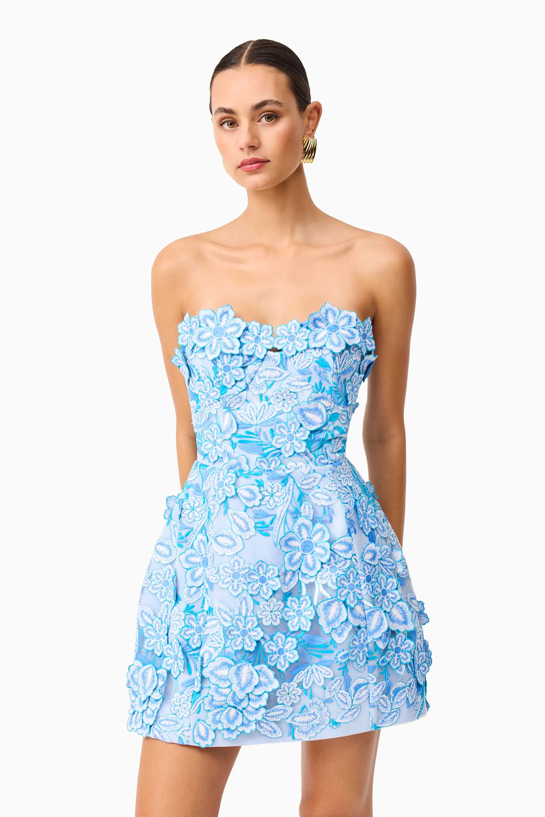 Roseate Floral Mini Dress in Blue sold by Elliatt product image thumbnail 3