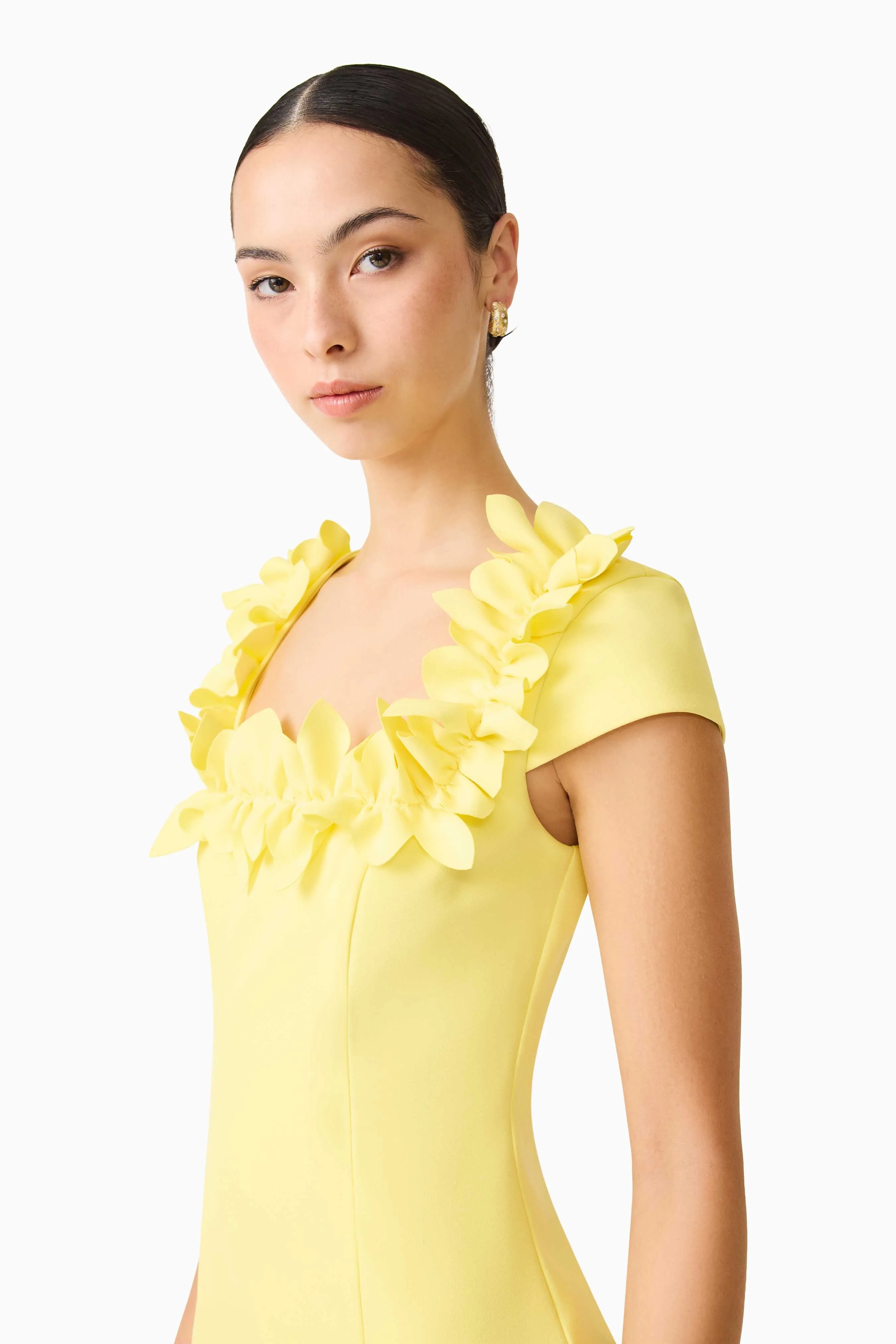 Cara Short Sleeve Midi Dress in Yellow sold by Elliatt product image thumbnail 5