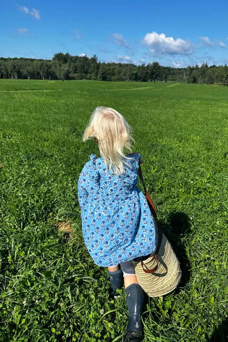 Little Fry Little Dress - Little Marigolds Danube Organic sold by Emerson Fry