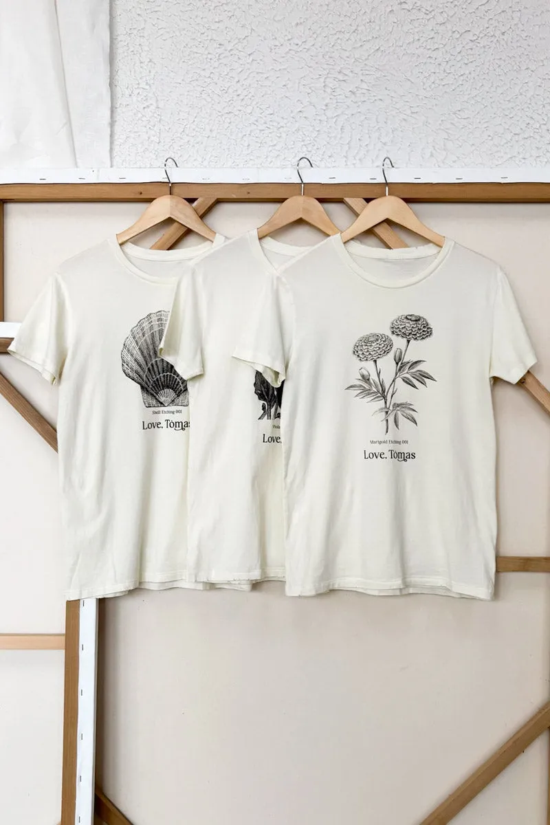 Viola Etching T-shirt sold by Emerson Fry product image thumbnail 4