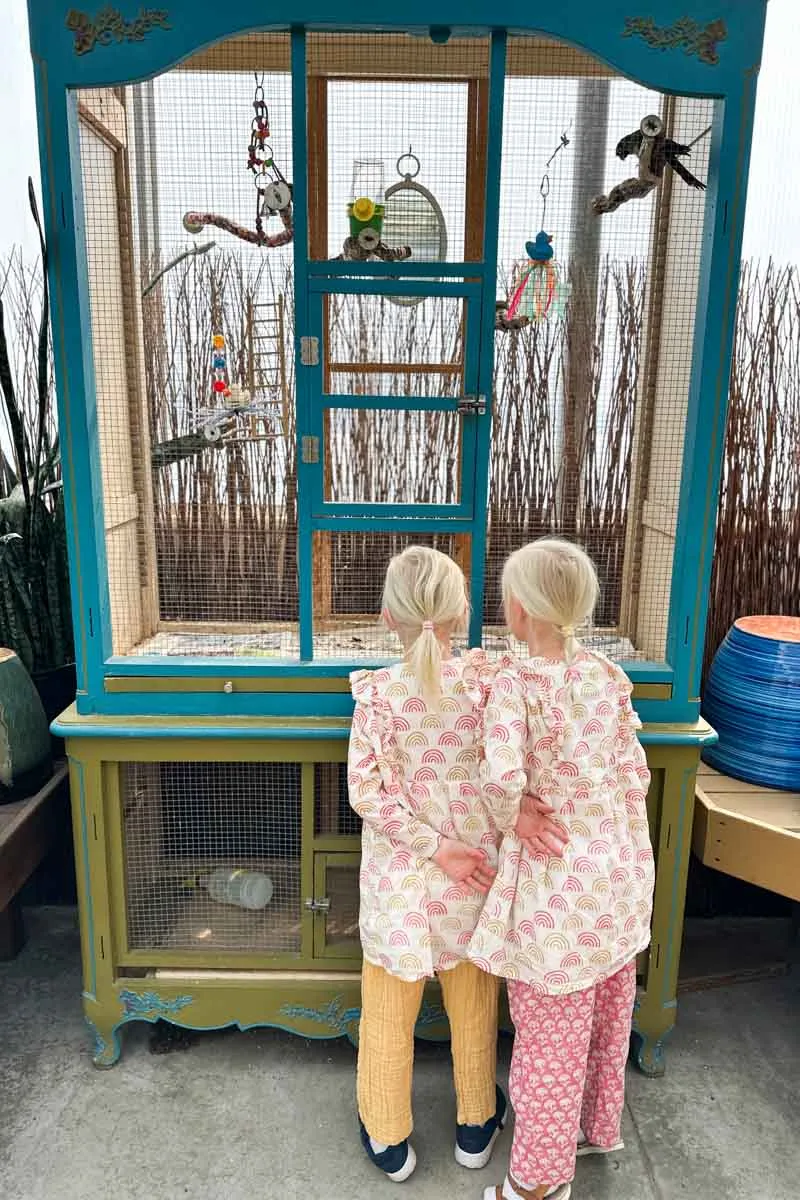 Little Fry Little Dress - Family Rainbow Organic sold by Emerson Fry product image thumbnail 2