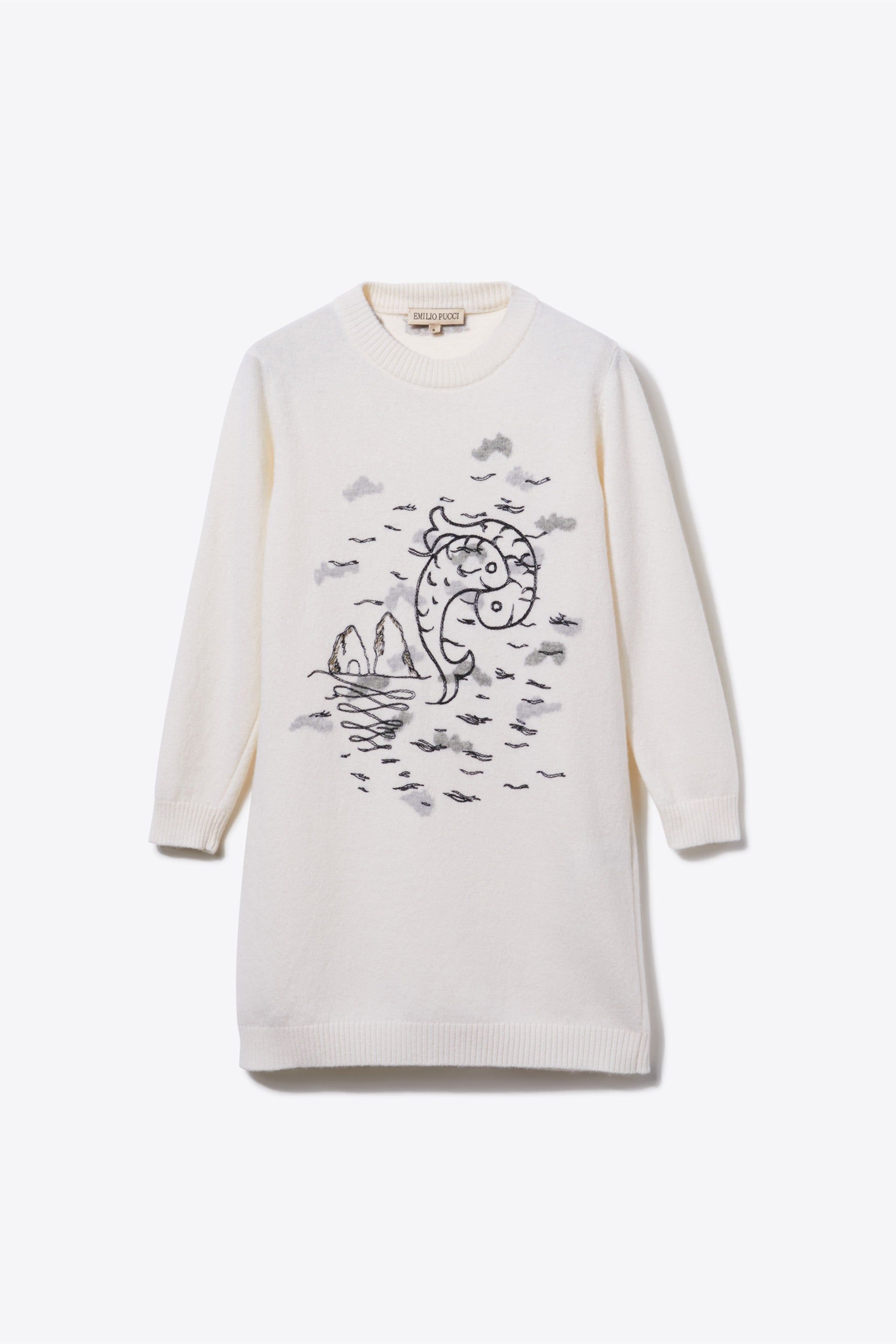 Pucci P-Embroidered Dress sold by Emilio Pucci