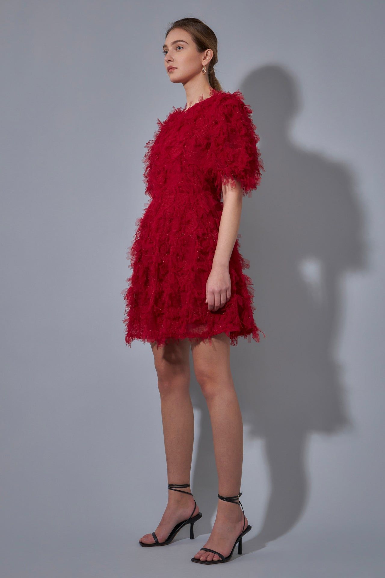 Textured Mesh Mini Dress sold by Endless Rose product image thumbnail 8