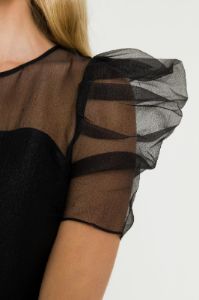 Puffed Sleeve Organza Dress sold by Endless Rose