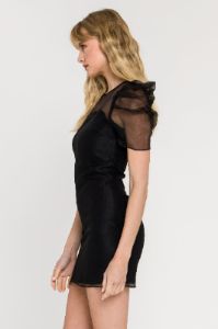 Puffed Sleeve Organza Dress sold by Endless Rose
