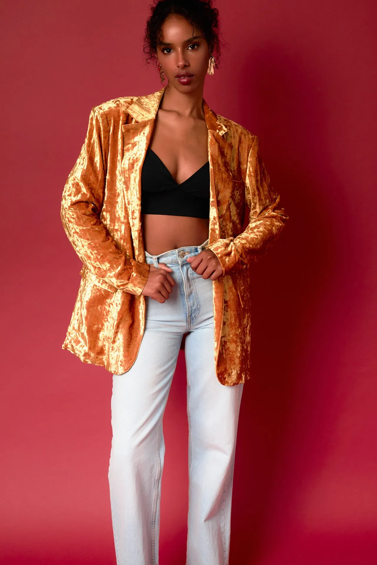 Oversized Velvet Blazer sold by Endless Rose