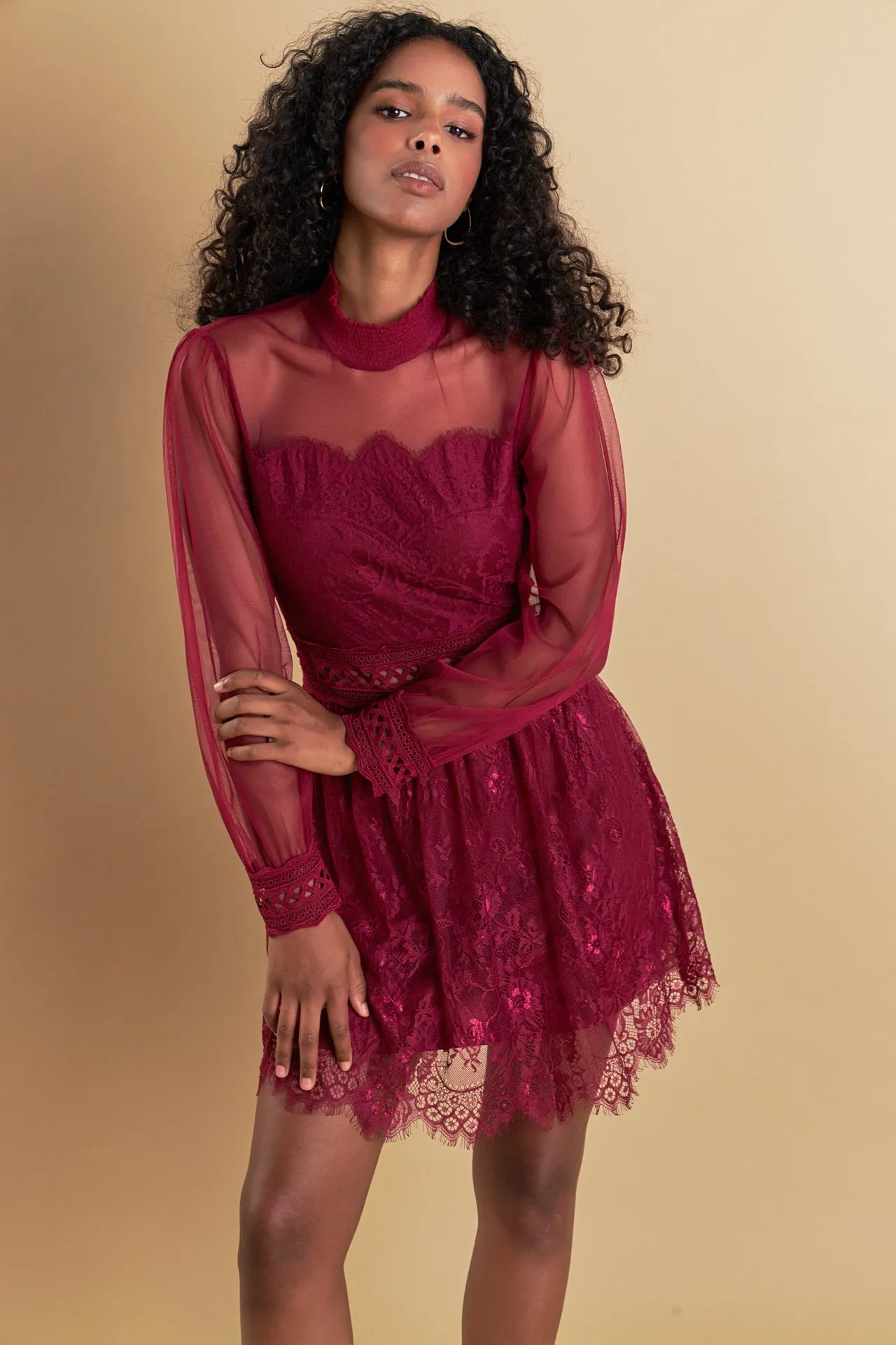 Long Sleeve Lace Mini Dress sold by Endless Rose