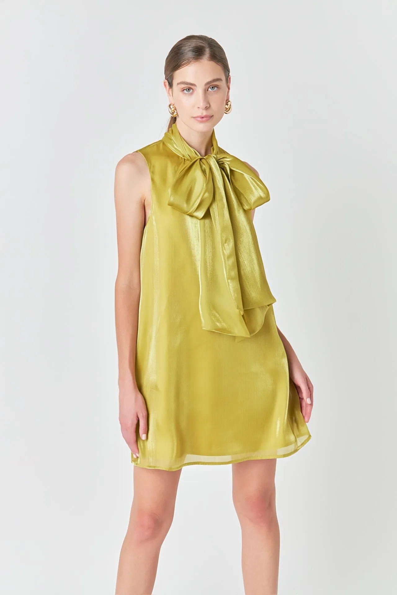 Organza Mini Dress sold by Endless Rose product image thumbnail 5