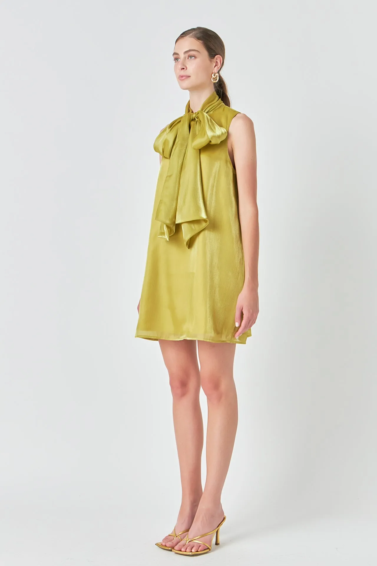 Organza Mini Dress sold by Endless Rose product image thumbnail 3