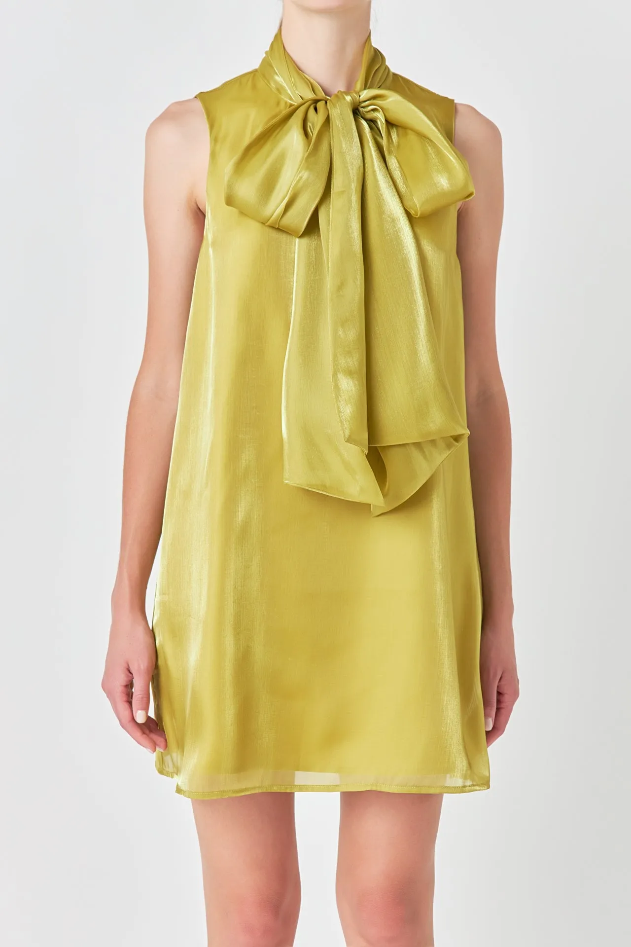 Organza Mini Dress sold by Endless Rose product image thumbnail 2