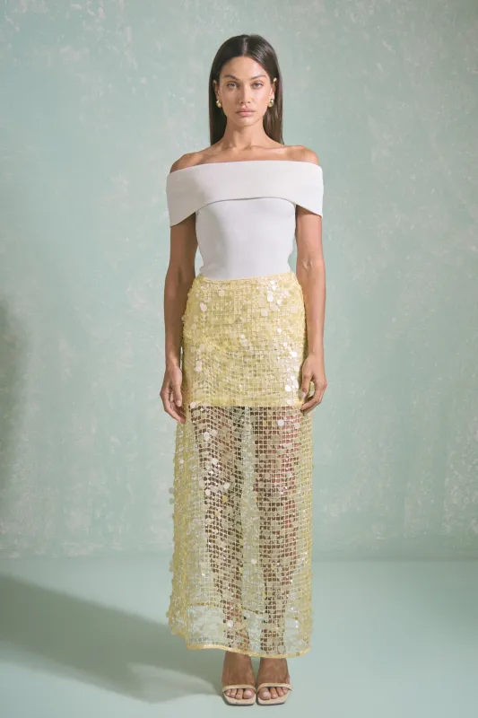 Sequin Mesh Maxi Skirt made by Endless Rose