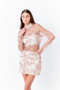 Sequins Embroidered Mini Dress sold by Endless Rose