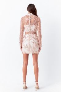 Sequins Embroidered Mini Dress sold by Endless Rose