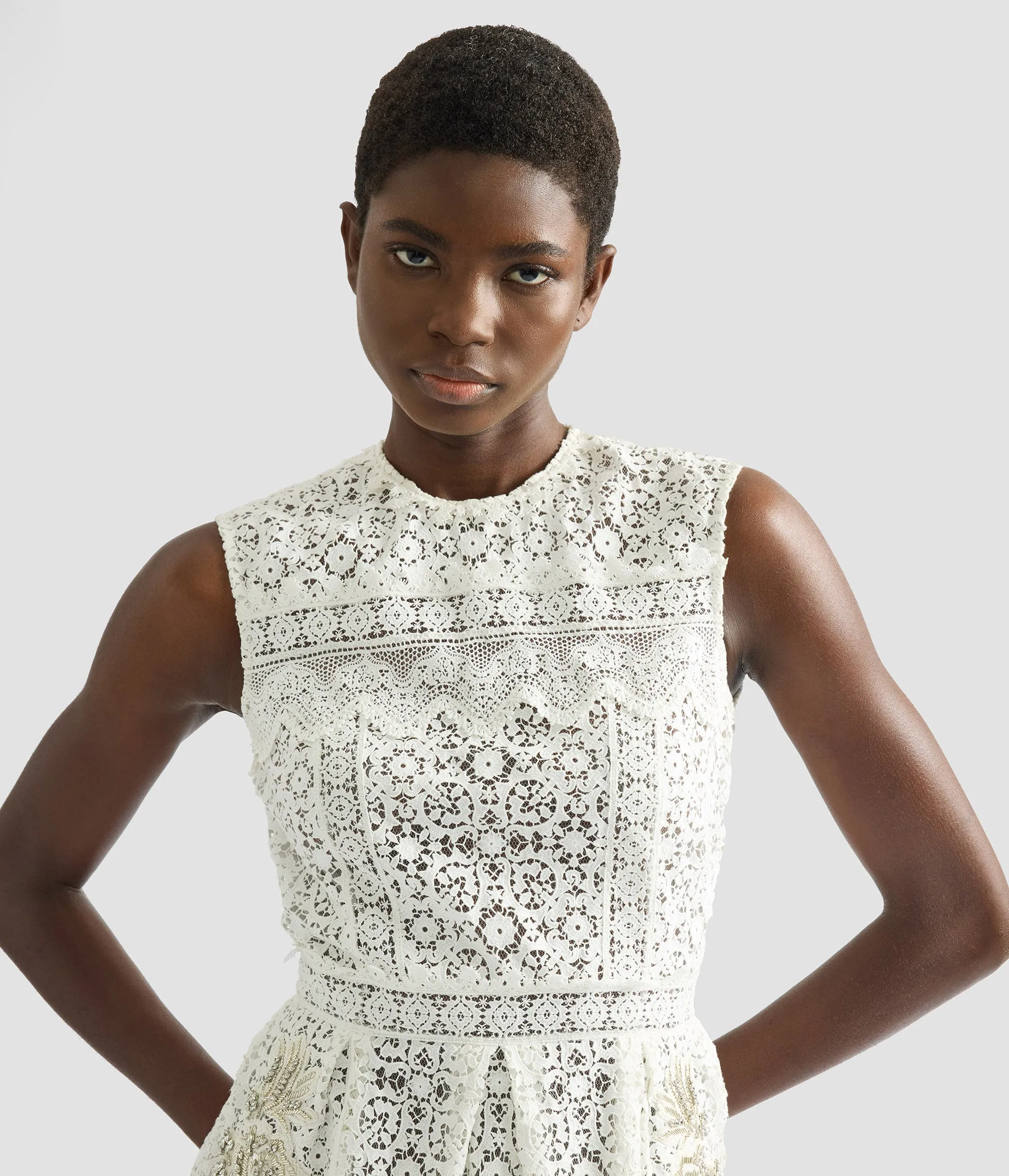 Embroidered Guipure Midi Dress sold by ERDEM product image thumbnail 4