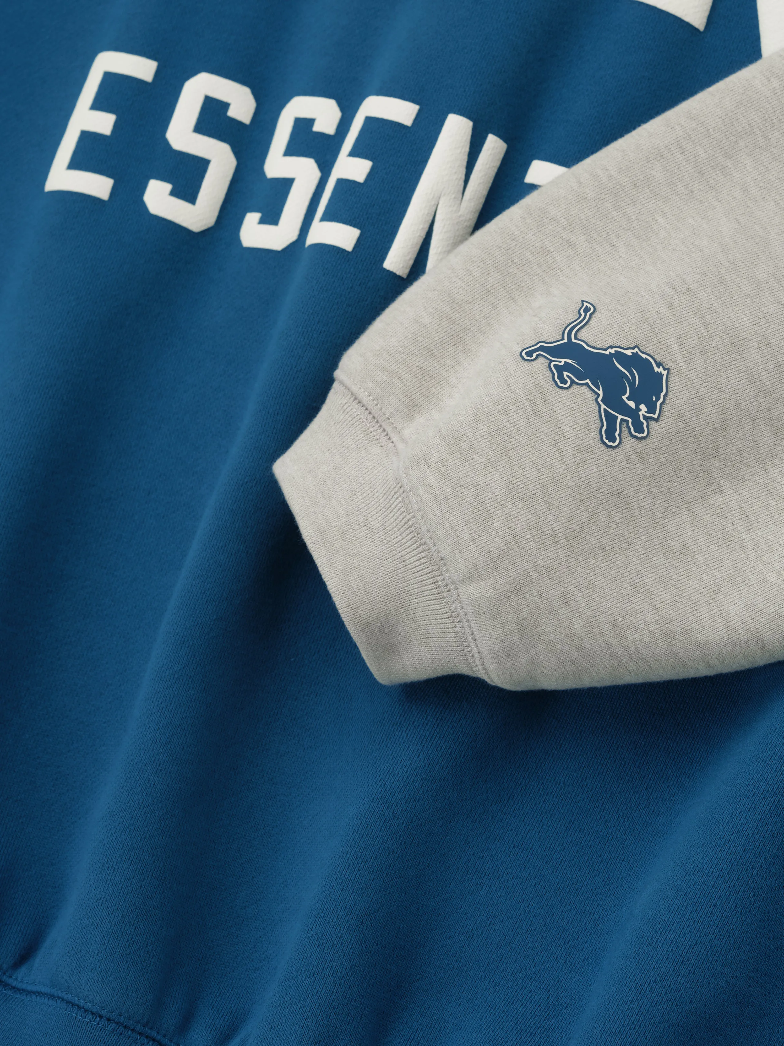 Lions Sport Hoodie sold by Essentials product image thumbnail 4