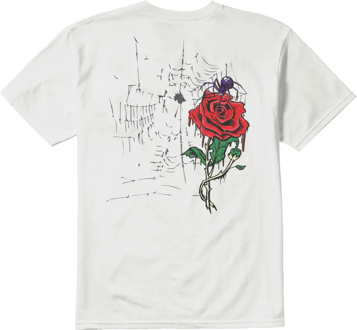 BONES X JOSLIN TEE sold by Etnies product image thumbnail 2