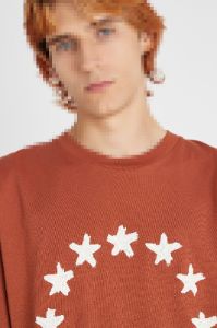 SPIRIT PAINTED STARS BROWN sold by Etudes Studio