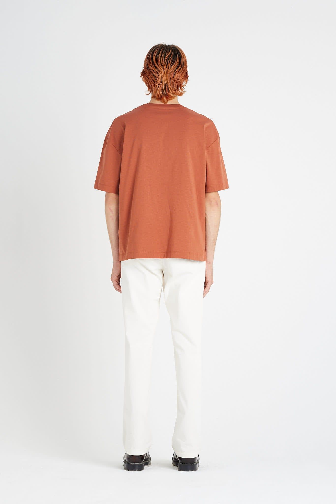 SPIRIT PAINTED STARS BROWN sold by Etudes Studio product image thumbnail 3