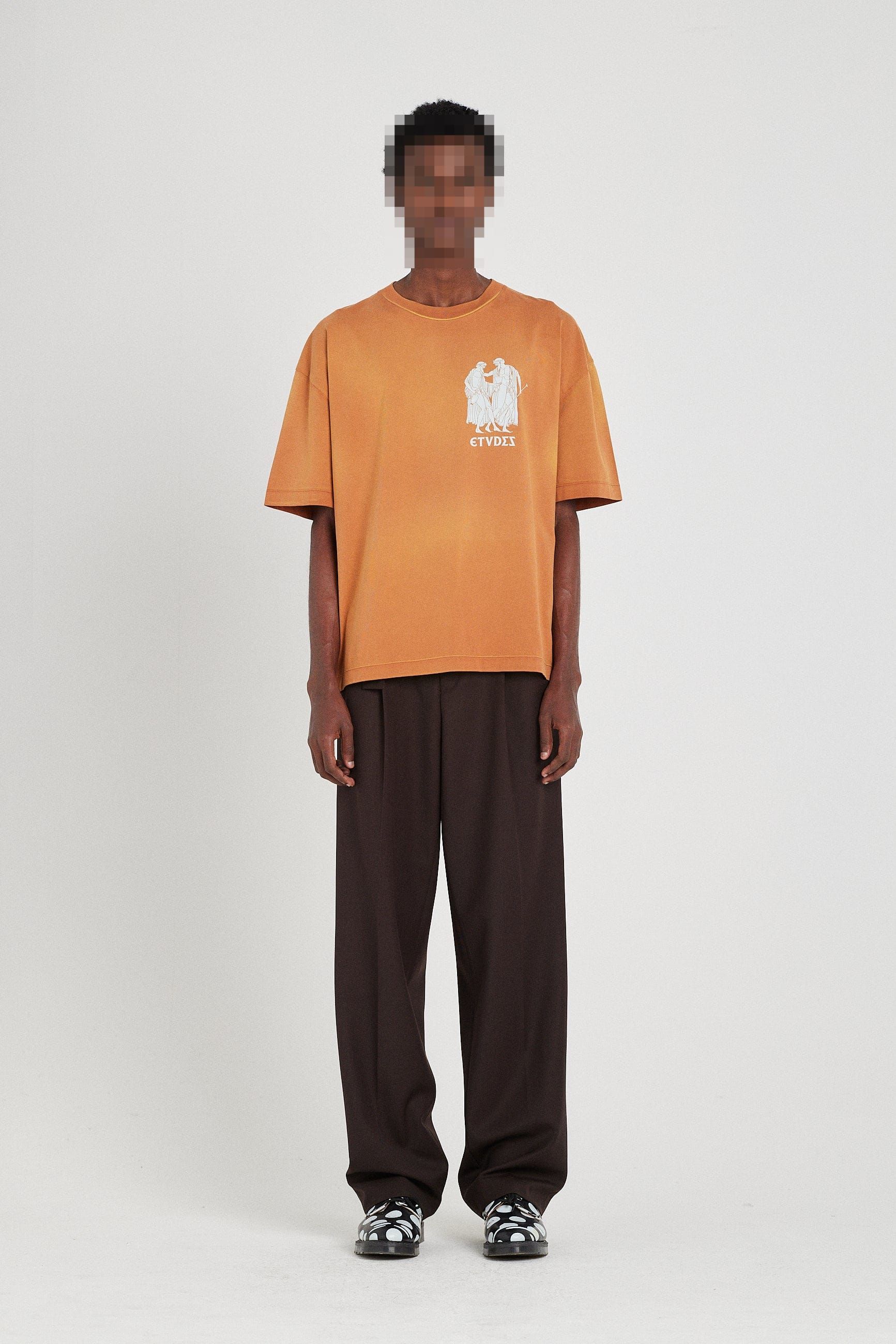 SPIRIT GREEK SPRAY BROWN sold by Etudes Studio product image thumbnail 2