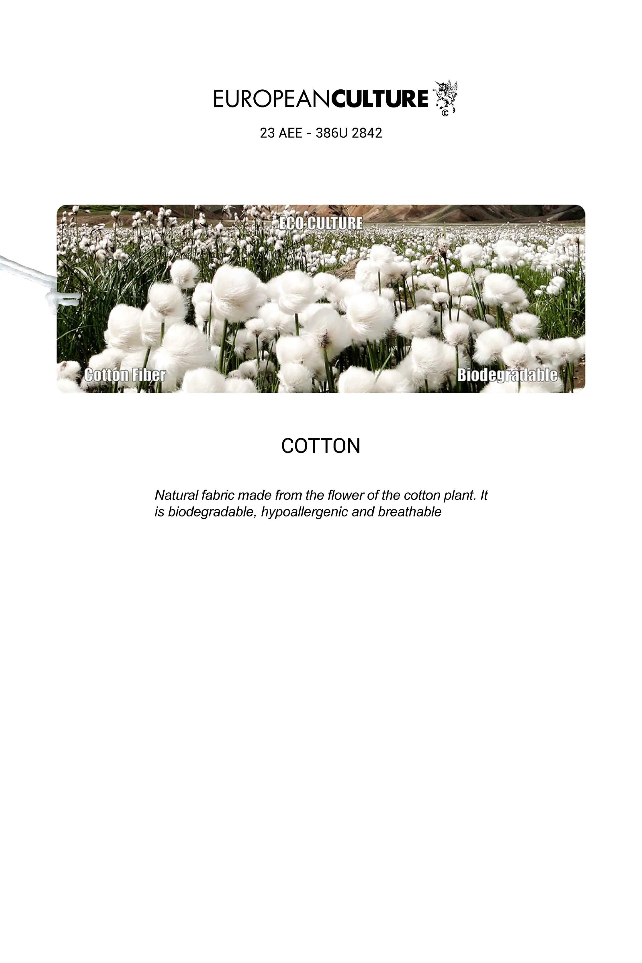 Boat Neck Stretch T-Shirt Garment Dyed 386U 2842 sold by European Culture product image thumbnail 4