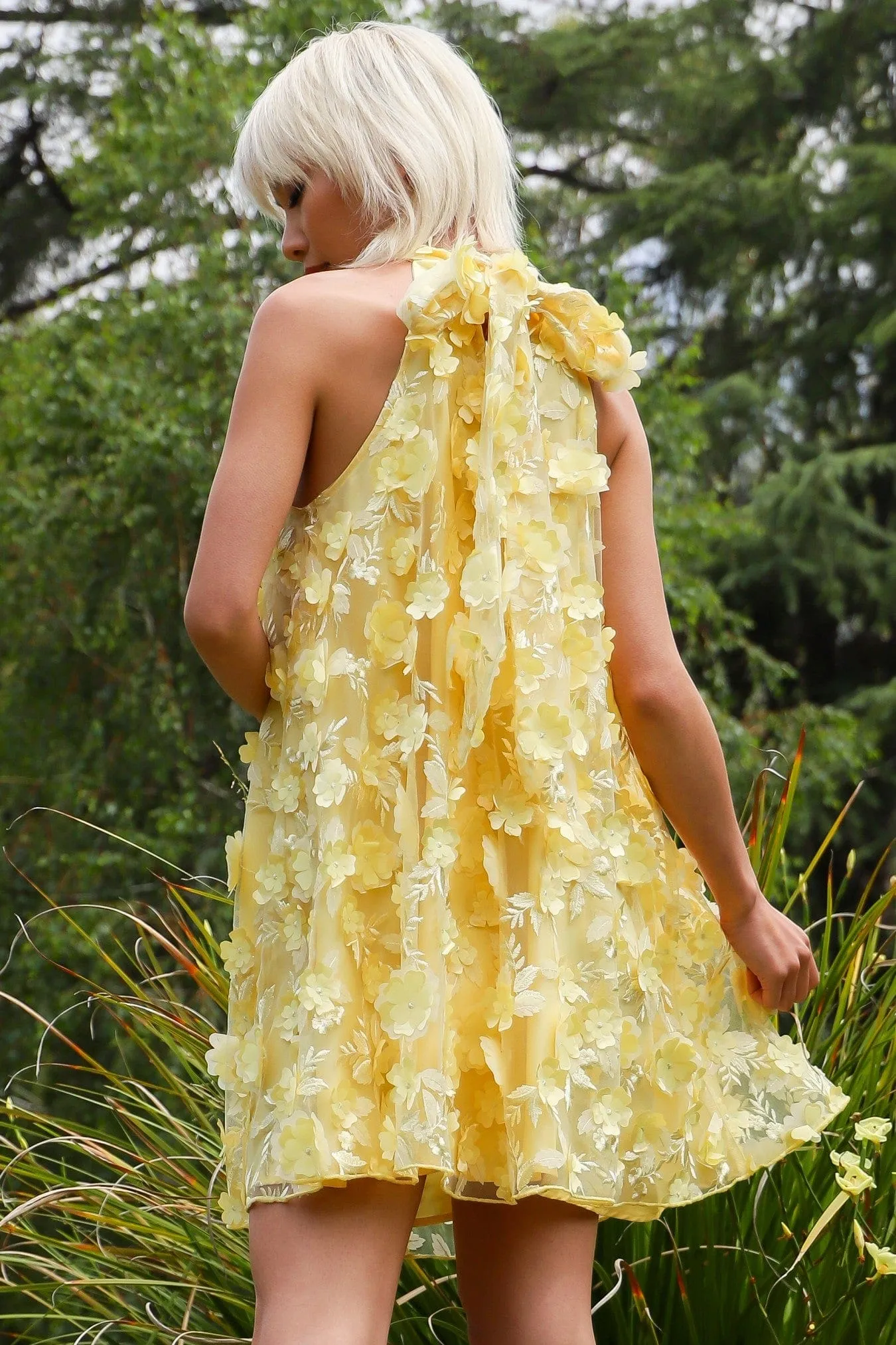 Henrietta Dress - Buttercup Petal sold by Eva Franco product image thumbnail 3