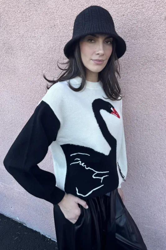 Swan Sweater sold by Eva Franco