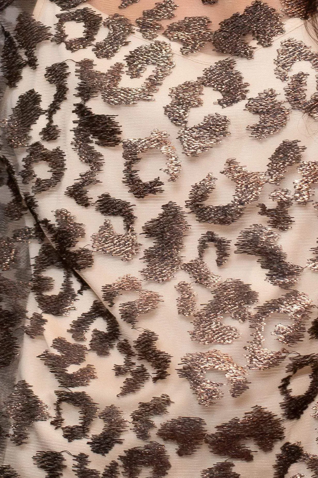 Sheer Leopard Top sold by Eva Franco product image thumbnail 5