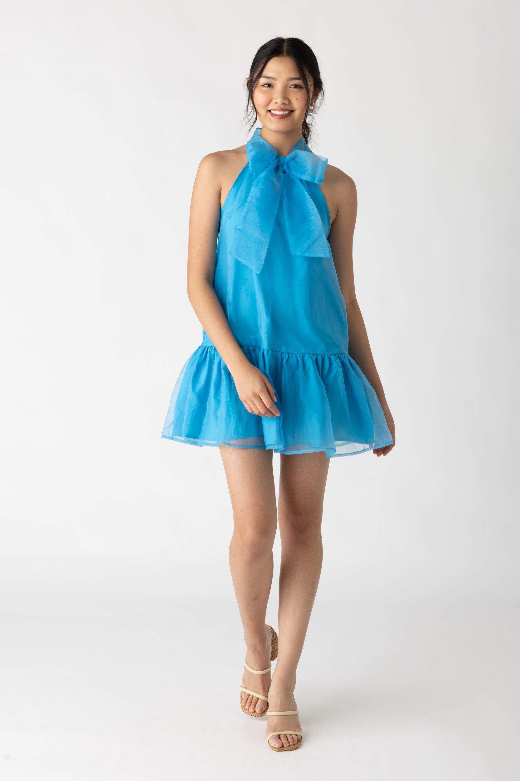 Arie Tie Neck Organza Mini Dress sold by fab'rik product image thumbnail 4