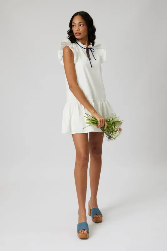 SALE - Leland Tie Neck Mini Dress sold by fab'rik