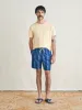 Sunwashed Trunk - Barlow Ocean Stripe sold by Faherty