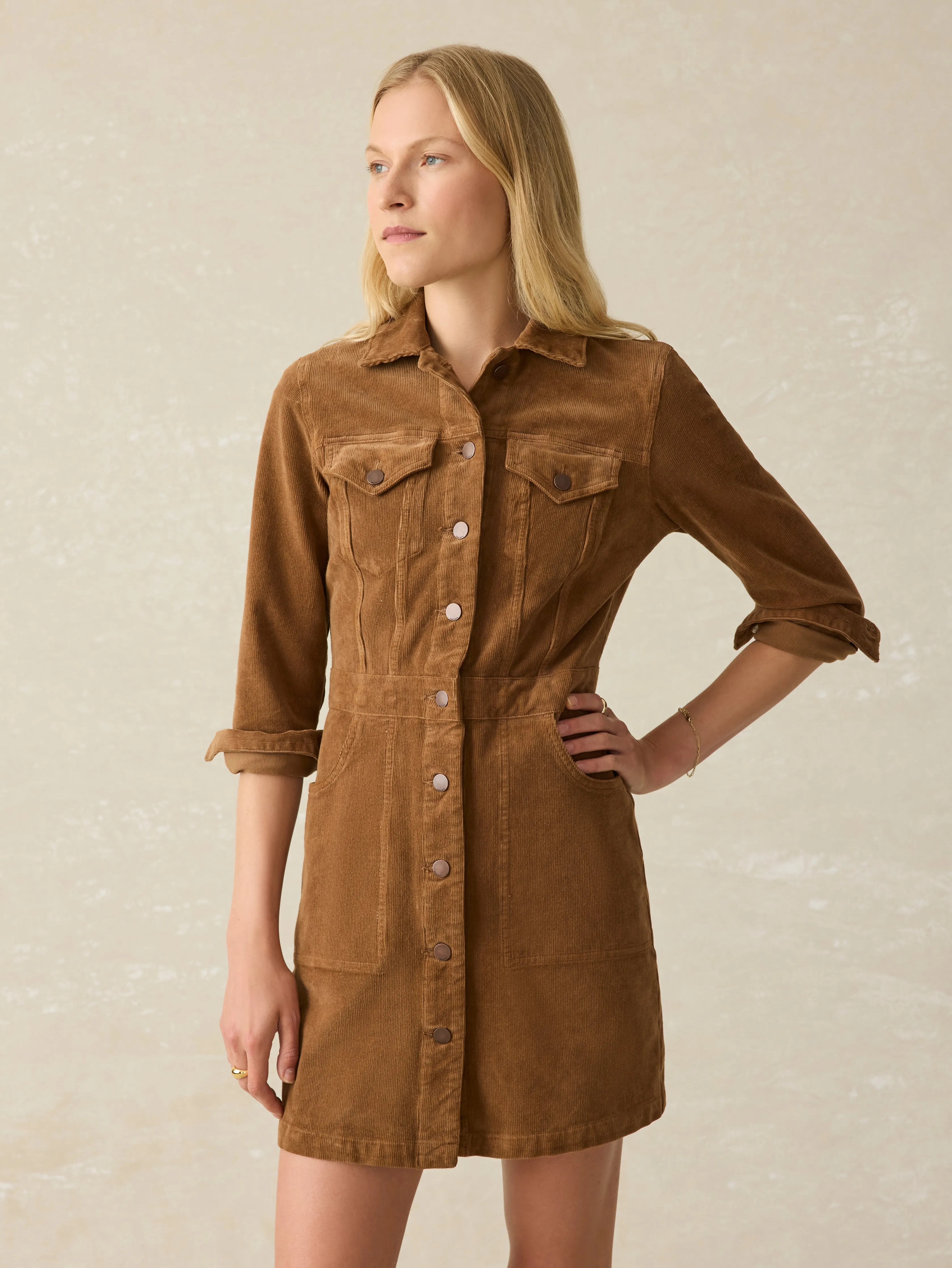 Softstretch Cord Michelle Dress - Cord Brown sold by Faherty