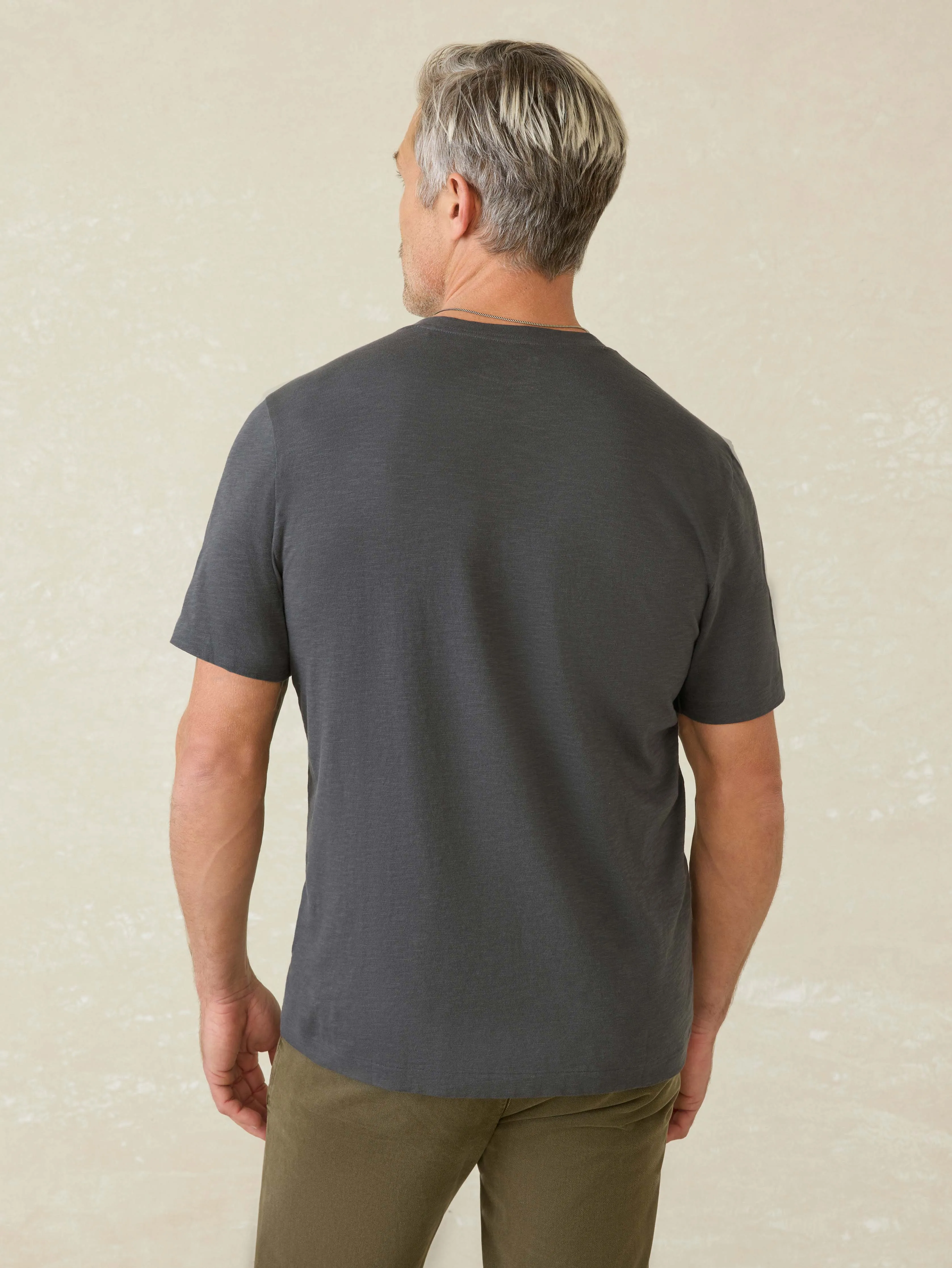 Short-Sleeve Sunwashed Regenerative Cotton V-Neck Tee - Graphite sold by Faherty product image thumbnail 5