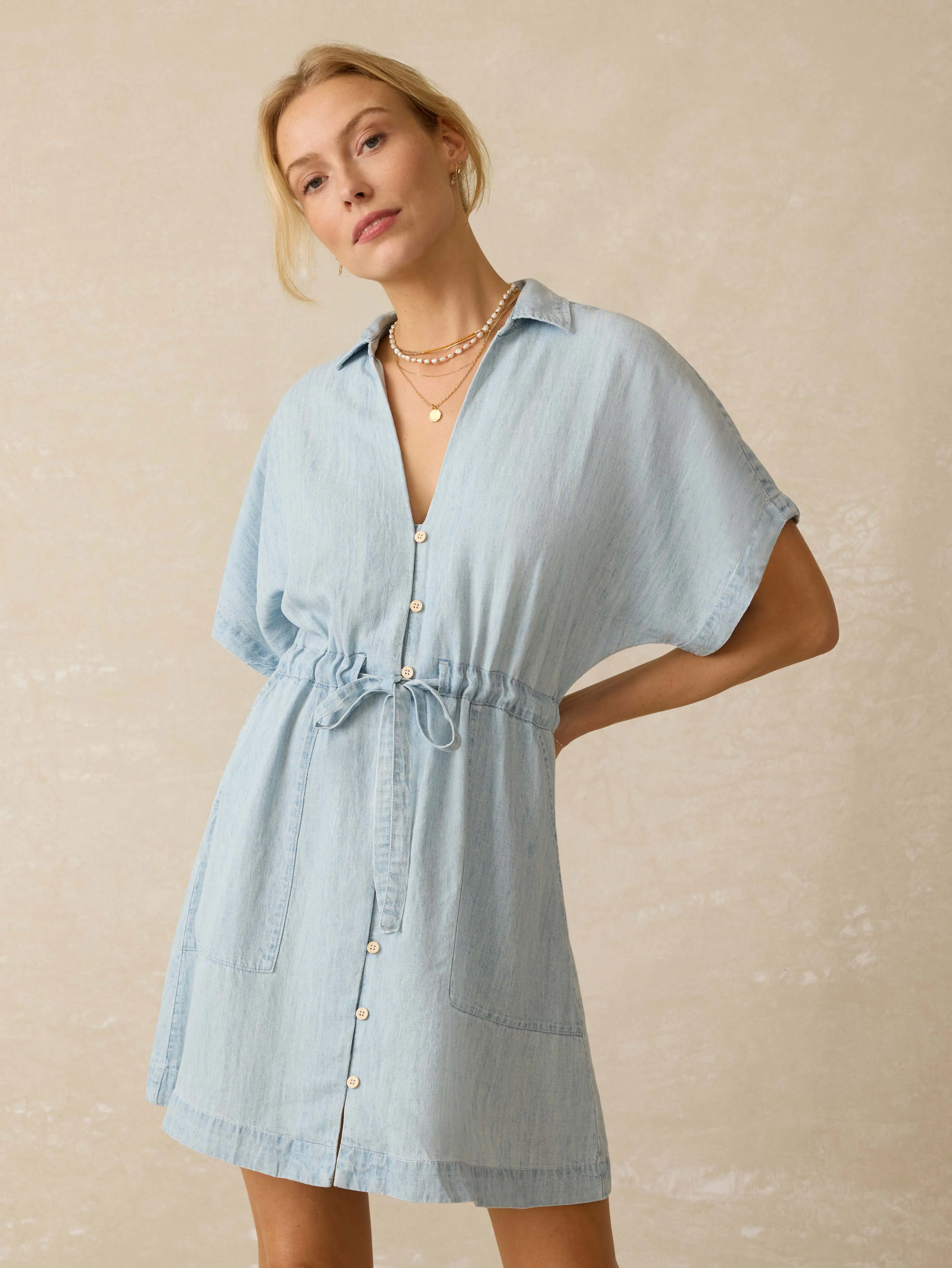 Tried & True Chambray Oakley Dress - Arctic Sea Wash sold by Faherty