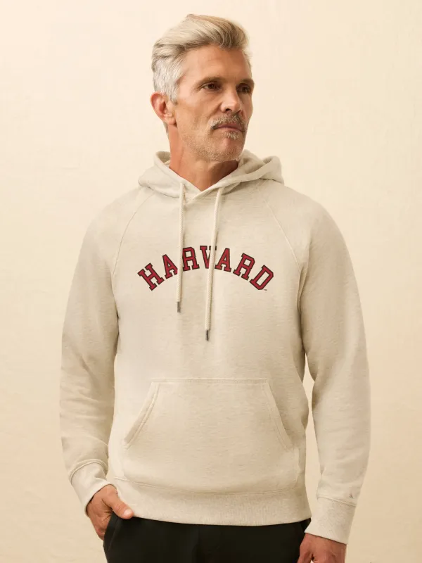 Harvard High Standard Fleece Hoodie - Antique Ivory Heather sold by Faherty