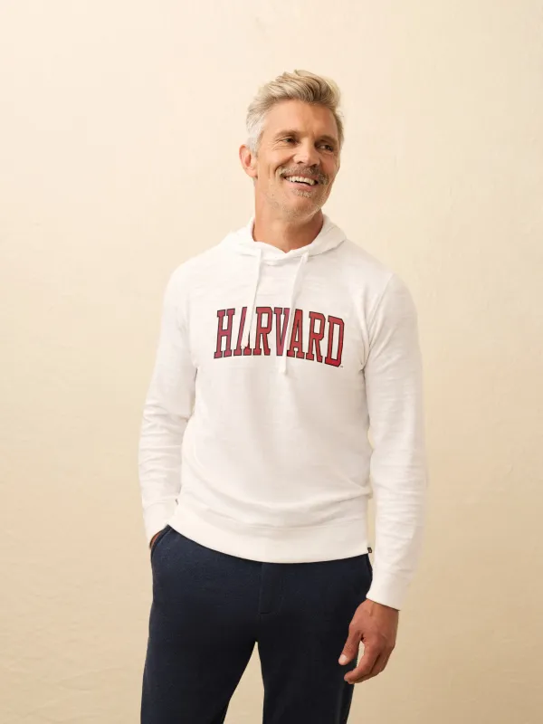 Harvard Sunwashed Organic Hoodie - White sold by Faherty