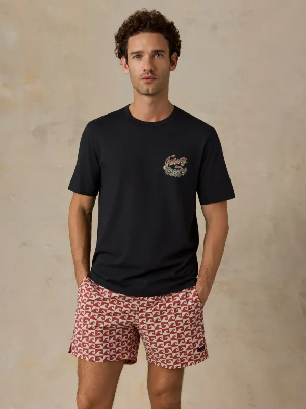 Sunwashed Regenerative Graphic Tee - Ridge Black made by Faherty