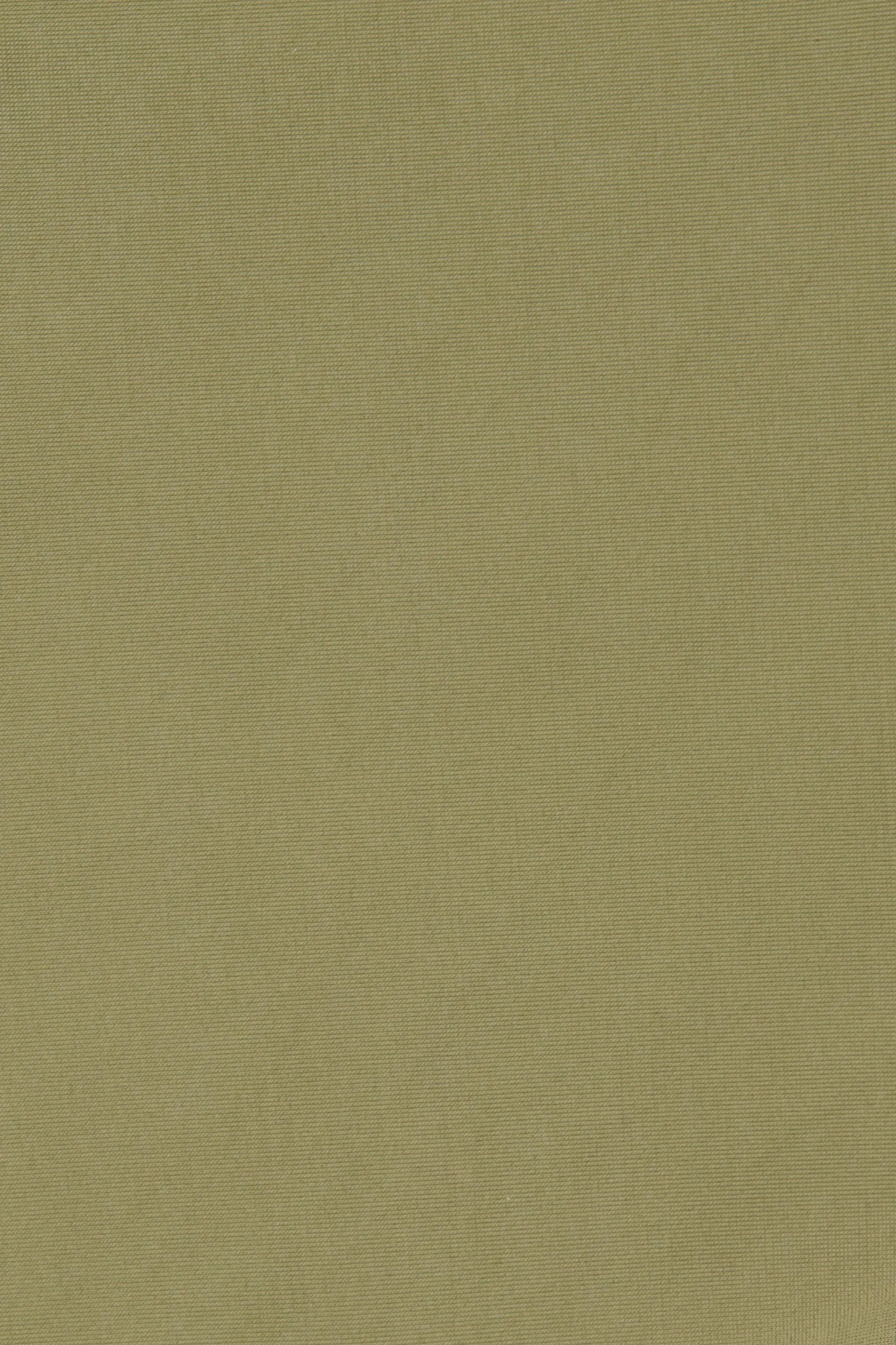 Reyes Bikini Bottom Khaki - Final Sale sold by Faithfull the Brand product image thumbnail 5
