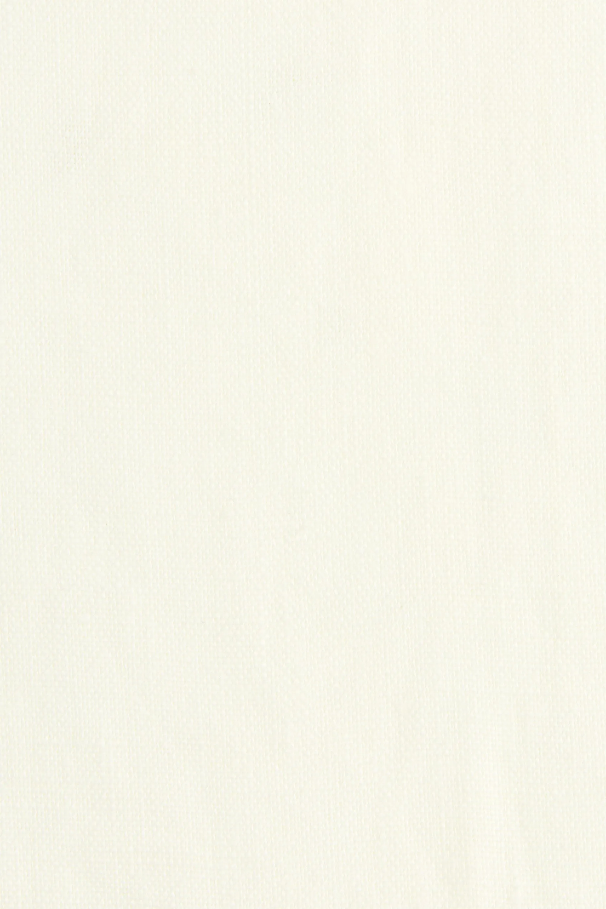 Sanne Mini Dress White - Final Sale sold by Faithfull the Brand product image thumbnail 5