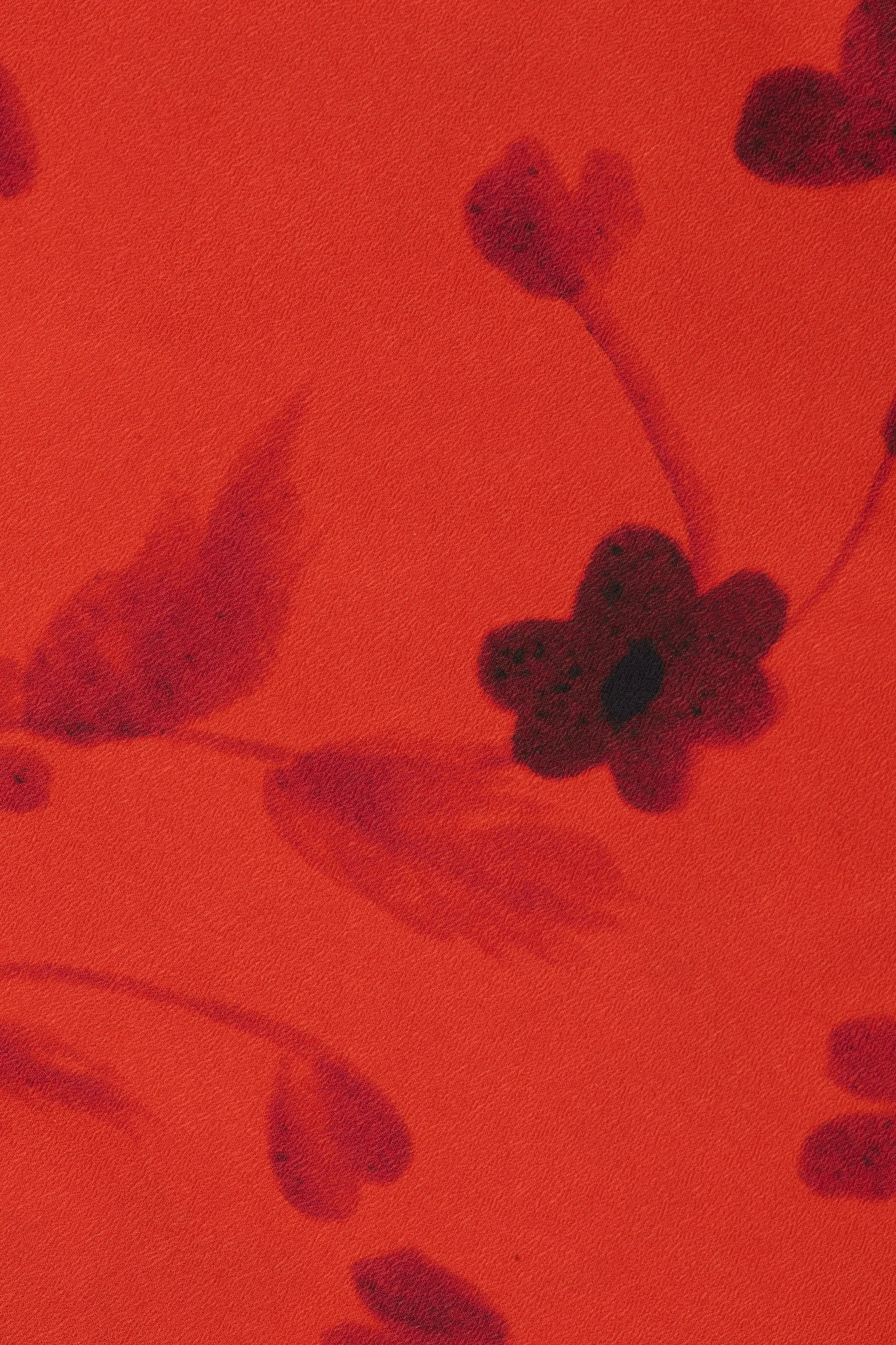 Graciela Mini Dress Pirazzo Floral Rosso sold by Faithfull the Brand product image thumbnail 5