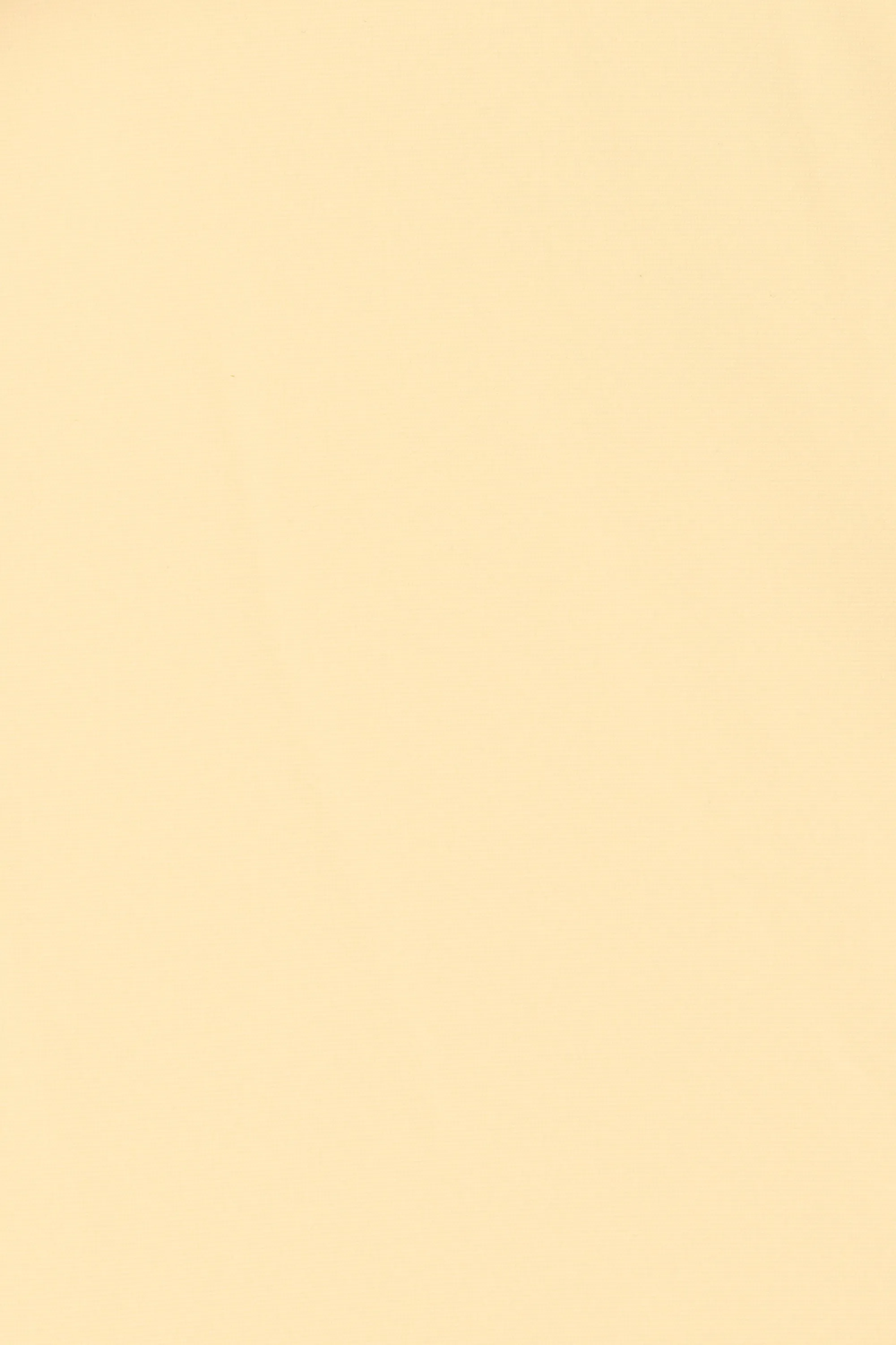 Eden Bikini Top Buttermilk sold by Faithfull the Brand product image thumbnail 5