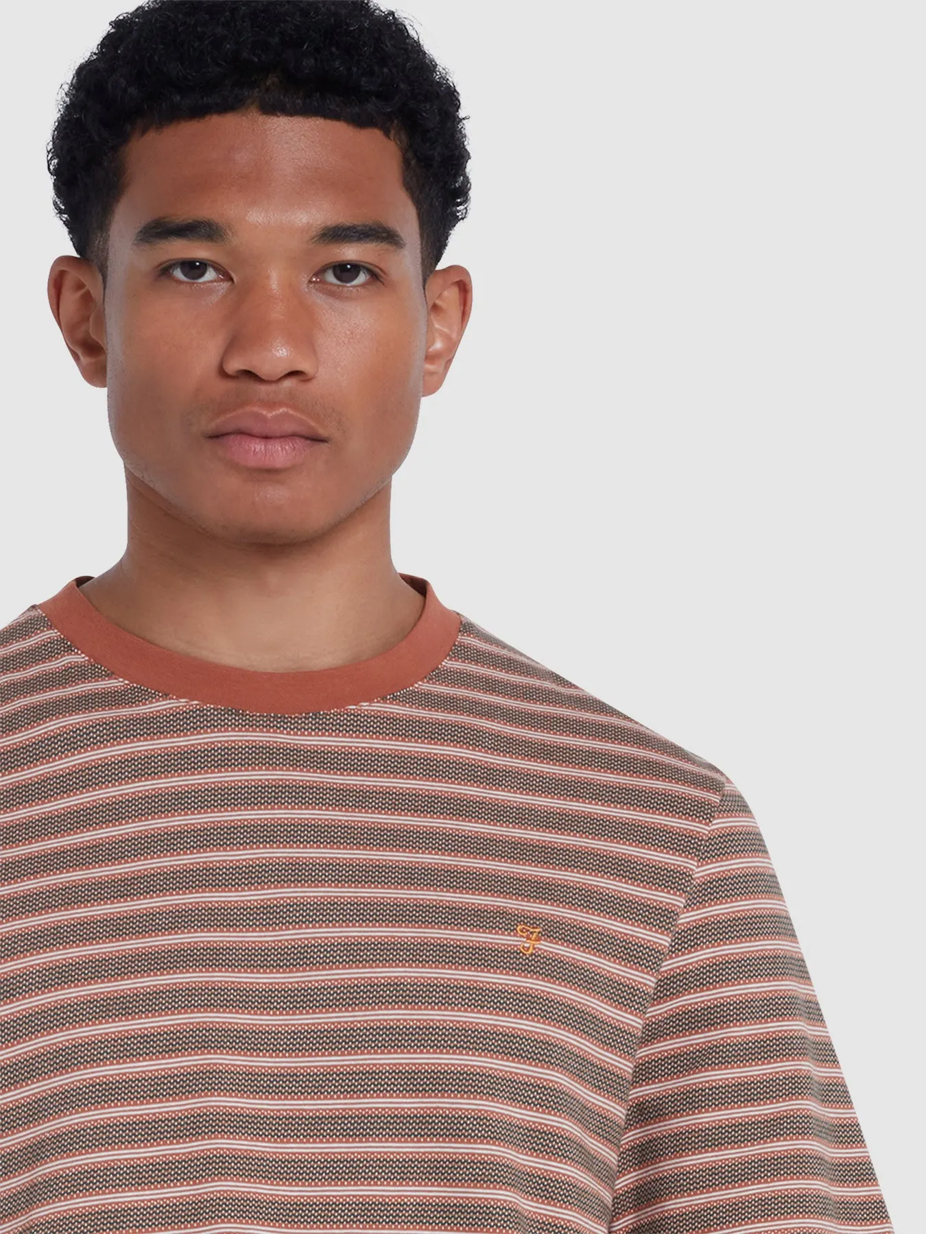 Wilmot Regular Fit Striped T-Shirt In Teak sold by Farah product image thumbnail 4