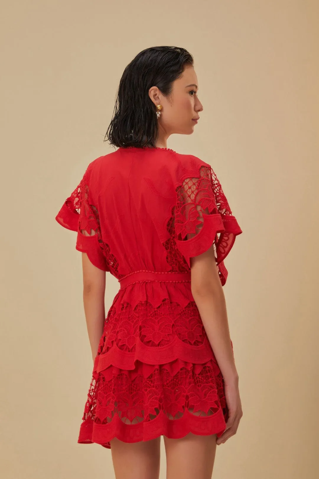 Red Richelieu Mini Dress sold by FARM Rio product image thumbnail 4